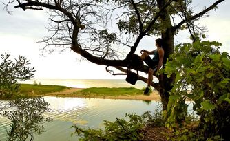 Relaxing in Tree