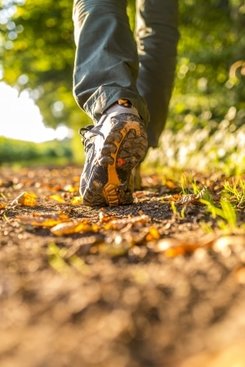 Nature Walk