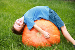 Large Pumpkin