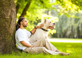 Sitting with Dog