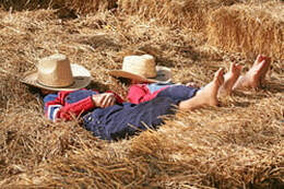 Fall Rest