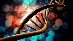 DNA Helix