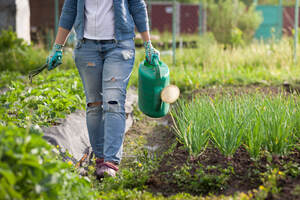 Garden Work