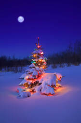 Snowy Christmas Tree